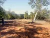 2315 Florina Road, Katherine, NT 0850-Image