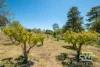 232 Red Range Road, Glen Innes, NSW 2370-Image