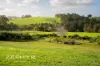 232 Valentine Road, Newlands, WA 6251-Image