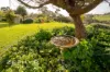 232 Valentine Road, Newlands, WA 6251-Image