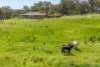 2321 George Russell Drive, Canowindra, NSW 2804-Image