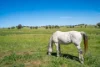 2321 George Russell Drive, Canowindra, NSW 2804-Image