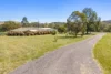 2321 George Russell Drive, Canowindra, NSW 2804-Image