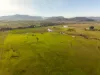 232G Fernhill Road, Dalwood, NSW 2335-Image