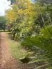 2336 Arnhem highway, Marrakai, NT 0822-Image