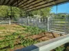 2336 Arnhem highway, Marrakai, NT 0822-Image