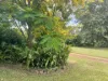 2336 Arnhem highway, Marrakai, NT 0822-Image