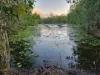 2336 Arnhem highway, Marrakai, NT 0822-Image