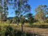 234 Emu Park Road, Nerimbera, Qld 4701-Image