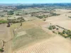 235 Basham Road, Stanley Flat, SA 5453-Image