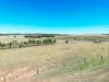 235 Basham Road, Stanley Flat, SA 5453-Image
