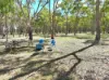 235 Marshall Way, Emmaville NSW 2371-Image