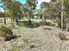 235 Marshall Way, Emmaville NSW 2371-Image