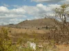 235 Wilson Valley Road, Coalstoun Lakes, Qld 4621-Image