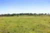 2351 Toowoomba Cecil Plains Road, Aubigny QLD 4401-Image