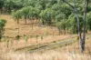 236 Hayes Road, Rosevale QLD 4340-Image
