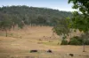 236 Hayes Road, Rosevale QLD 4340-Image