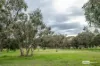 237 Wild Dog Valley Road, Naracoorte, SA 5271-Image