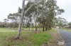237 Wild Dog Valley Road, Naracoorte, SA 5271-Image