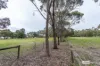 237 Wild Dog Valley Road, Naracoorte, SA 5271-Image