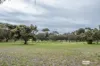 237 Wild Dog Valley Road, Naracoorte, SA 5271-Image