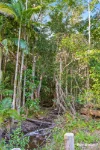 2386, Byfield QLD 4703-Image