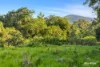 2386, Byfield QLD 4703-Image