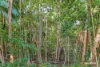 2386, Byfield QLD 4703-Image