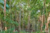 2386 Byfield Road, Byfield, Qld 4703-Image