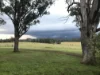 2392 Old Tenterfield Road via, Wyan, NSW 2469-Image