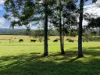 2392 Old Tenterfield Road via, Wyan, NSW 2469-Image