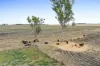 24 Naumann Road, Back Plains QLD 4361-Image