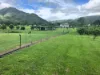 24 Paskins Road, Yalboroo, Qld 4741