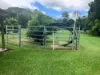 24 Paskins Road, Yalboroo, Qld 4741-Image