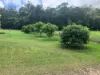 24 Paskins Road, Yalboroo, Qld 4741-Image
