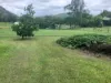 24 Paskins Road, Yalboroo, Qld 4741-Image