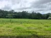 24 Paskins Road, Yalboroo, Qld 4741-Image
