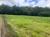 24 Paskins Road, Yalboroo, Qld 4741-Image