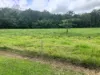 24 Paskins Road, Yalboroo, Qld 4741-Image