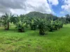 24 Paskins Road, Yalboroo, Qld 4741-Image