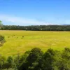 240 Cabbage Tree Lane, Mundamia NSW 2540-Image
