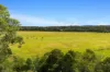 240 Cabbage Tree Lane, Mundamia NSW 2540-Image