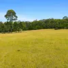 240 Cabbage Tree Lane, Mundamia NSW 2540-Image