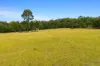 240 Cabbage Tree Lane, Mundamia NSW 2540-Image