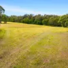 240 Cabbage Tree Lane, Mundamia NSW 2540-Image