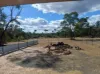 241 Crosbies Road, Goranba, Qld 4421-Image