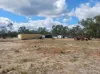 241 Crosbies Road, Goranba, Qld 4421-Image