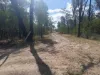 241 Crosbies Road, Goranba, Qld 4421-Image