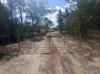 241 Crosbies Road, Goranba, Qld 4421-Image
