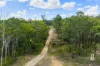 241 Pioneer Road, Singleton, NSW 2330-Image